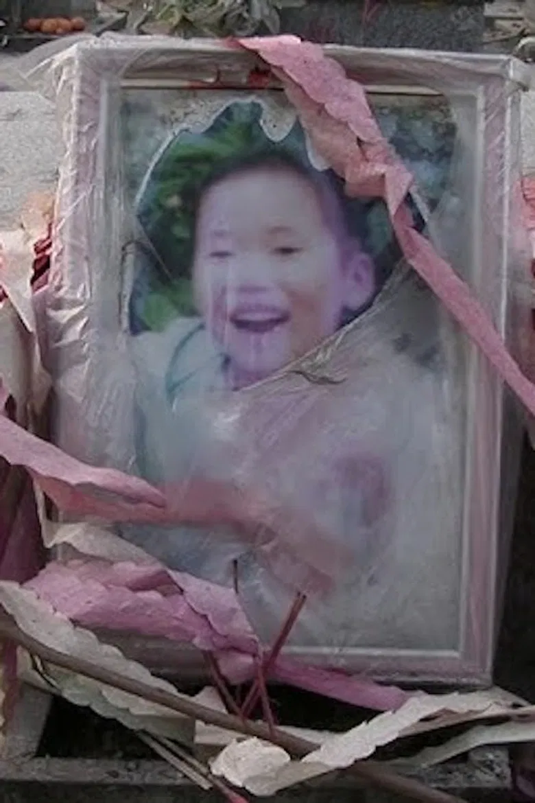 Wenchuan Rebar poster background