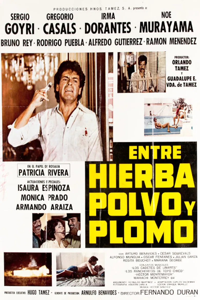 Entre Hierba, Polvo y Plomo poster background