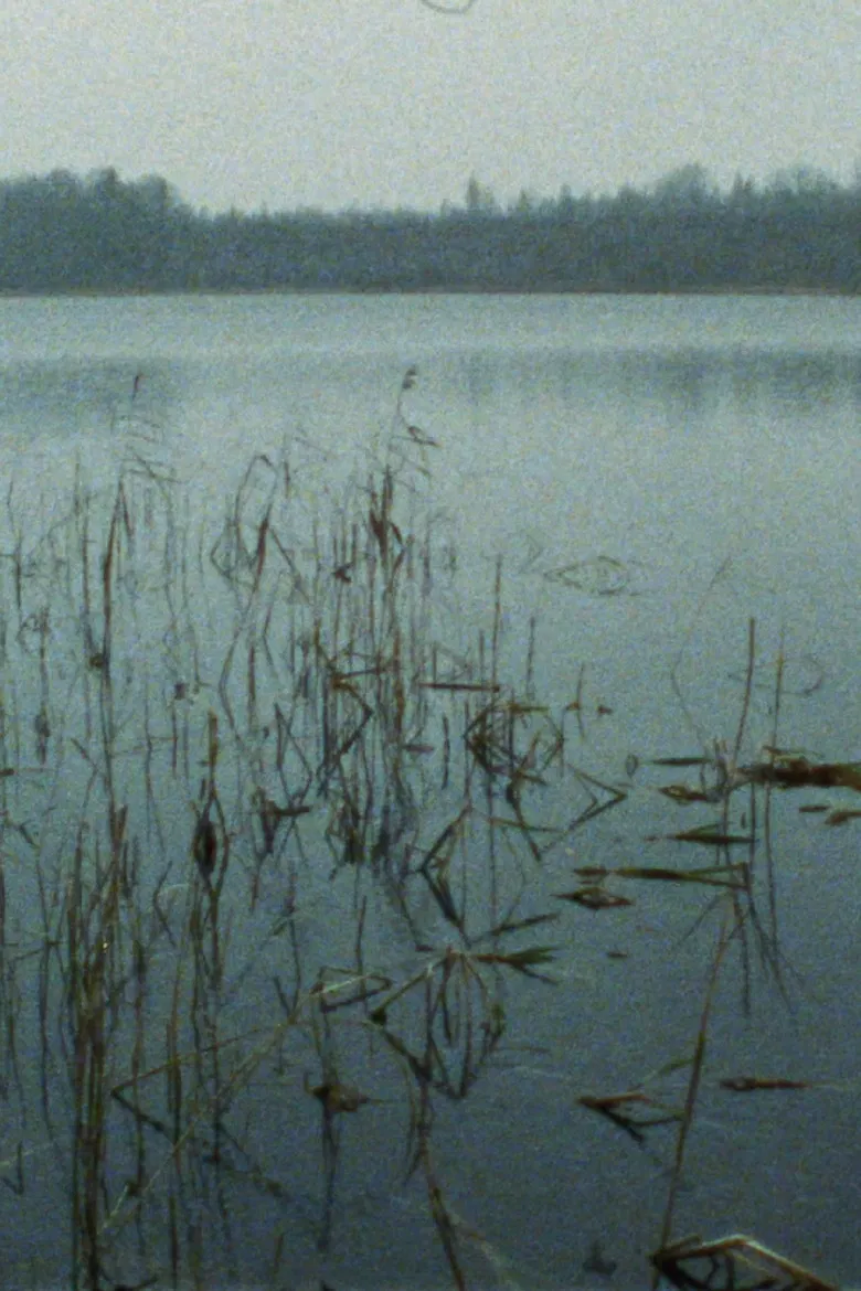 Riba poster background