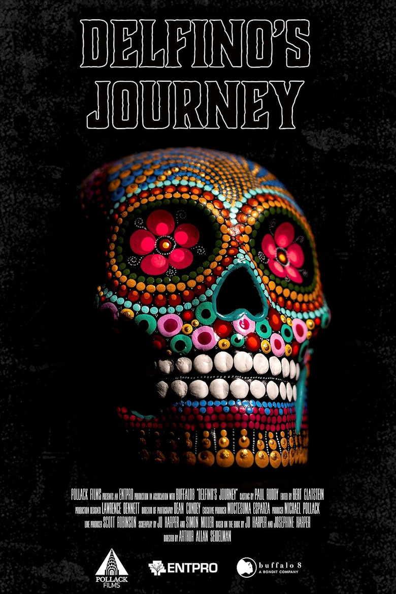 Delfino's Journey poster background