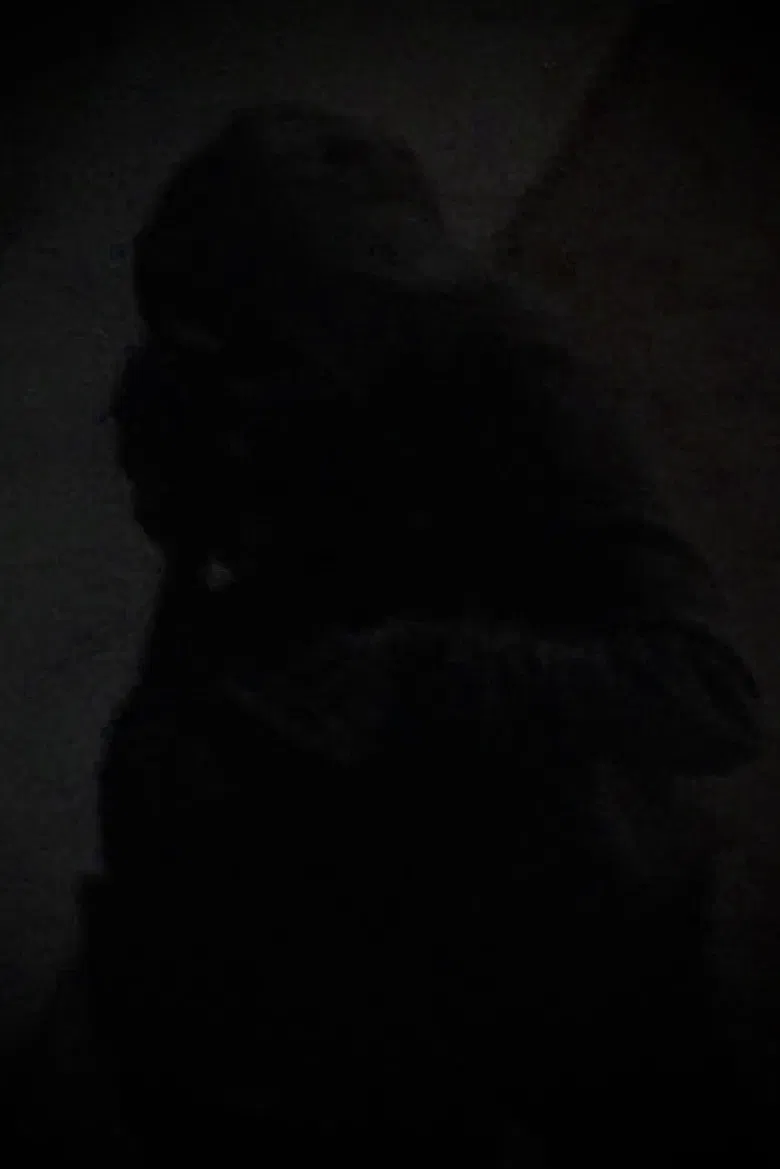 Rooftops poster background