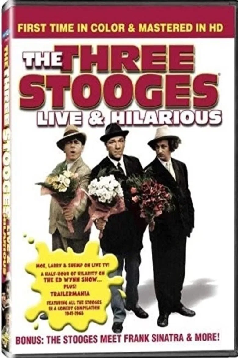 The Three Stooges: Live and Hilarious poster background