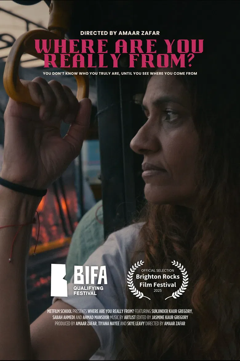 Where Are You Really From? poster background