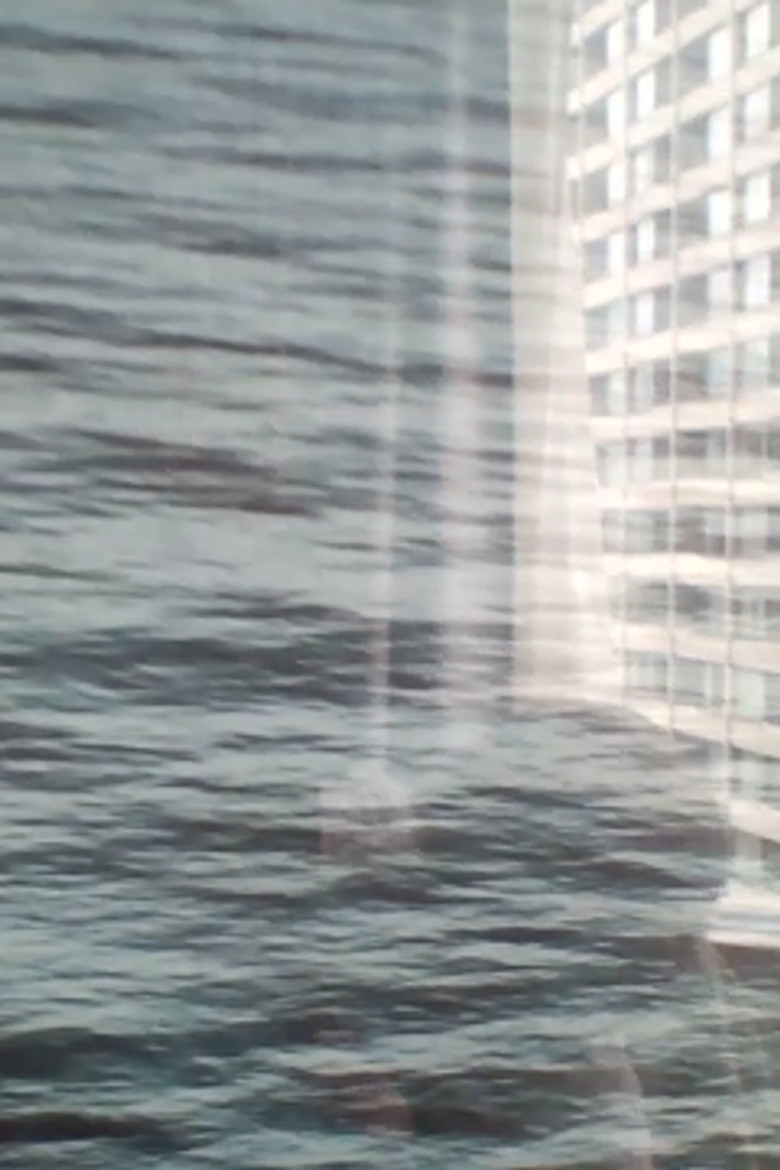 Remembering Wavelengths poster background