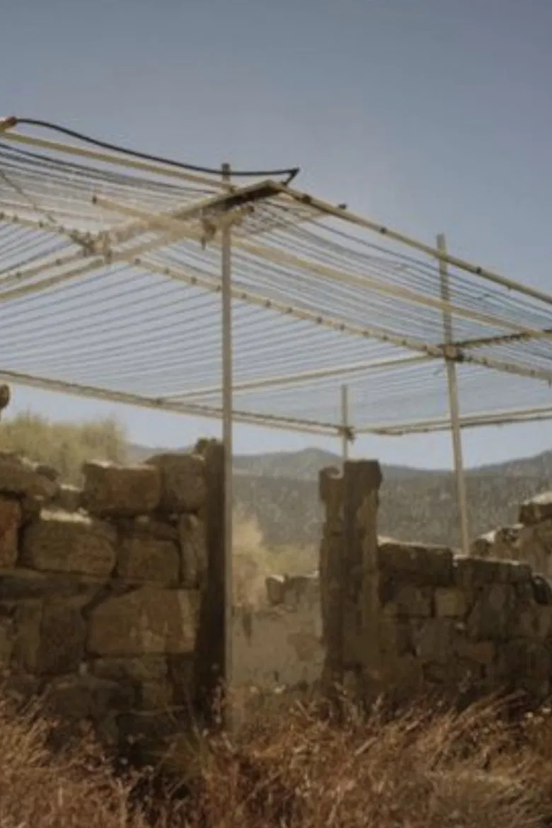 Llano poster background