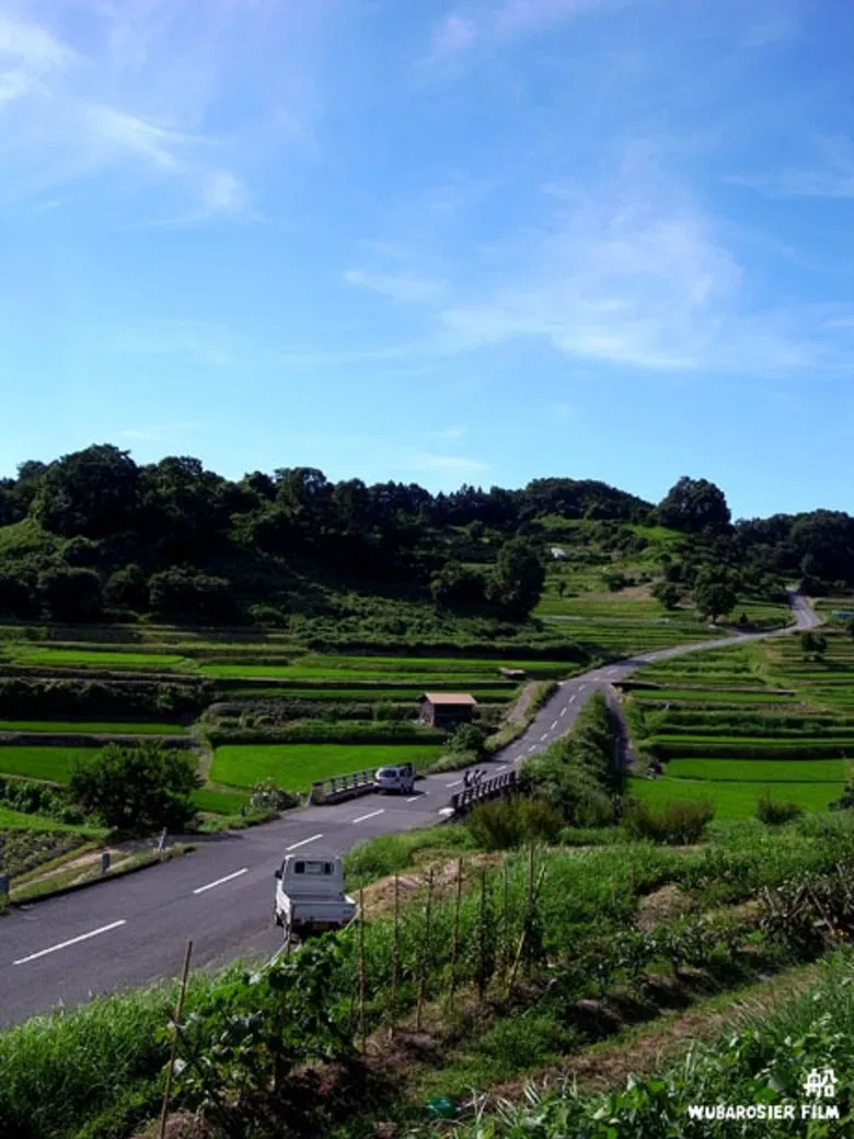 The Boat poster background