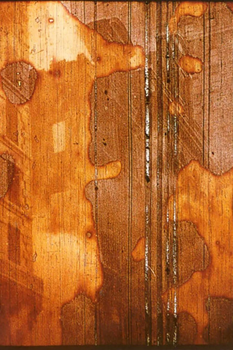 Tradition Is the Handing on of Fire and Not the Worship of Ashes poster background