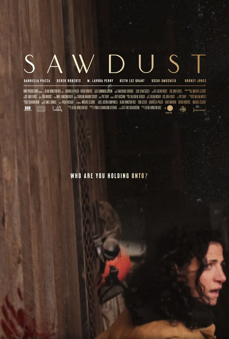 Sawdust poster background