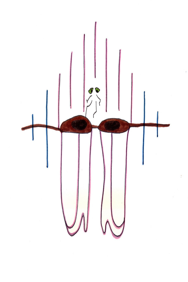 Big Brown Eyes poster background