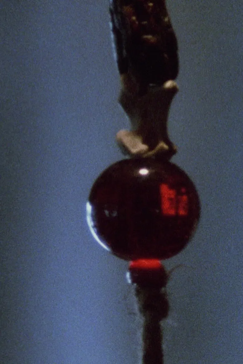 Pan 1 poster background