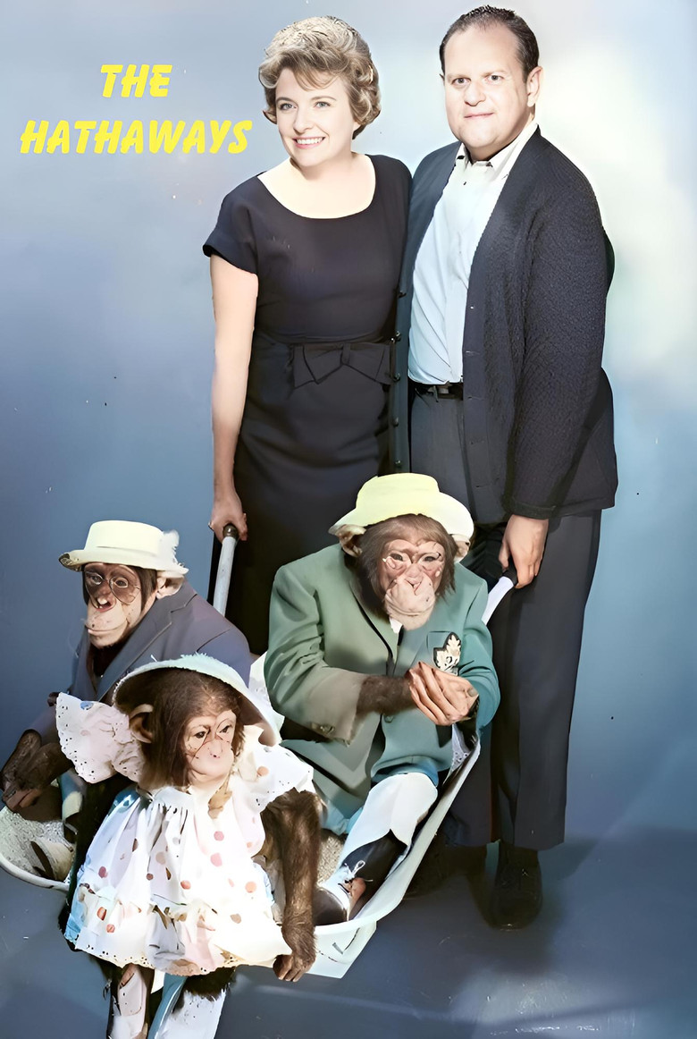 The Hathaways poster background