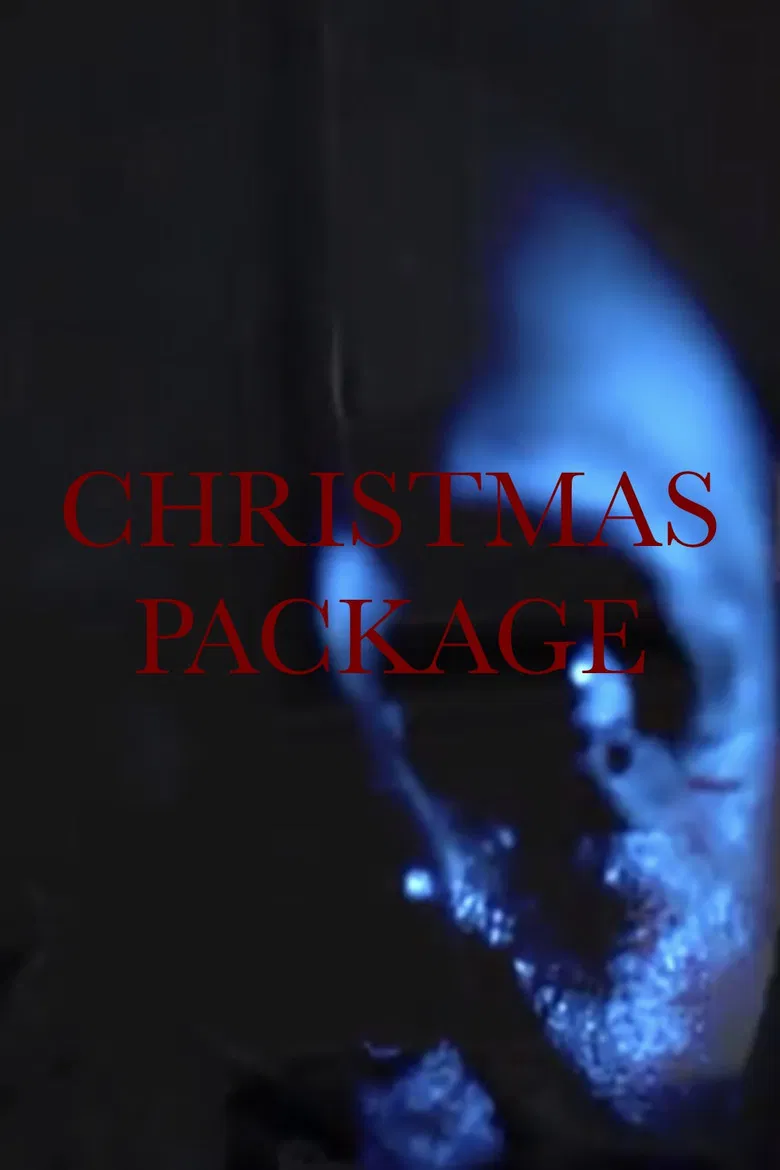 Christmas Package poster background