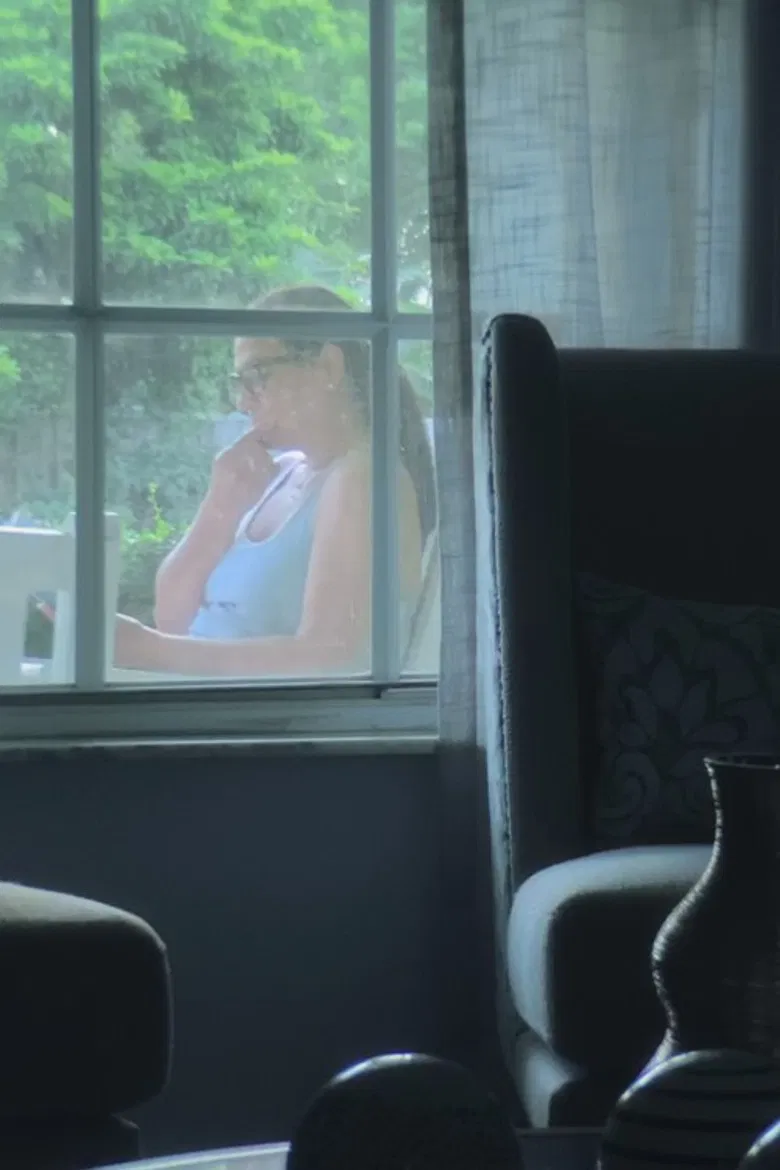 Searching for Ana Veldford poster background