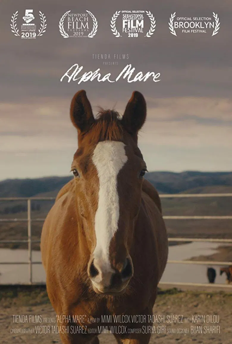 Alpha Mare poster background