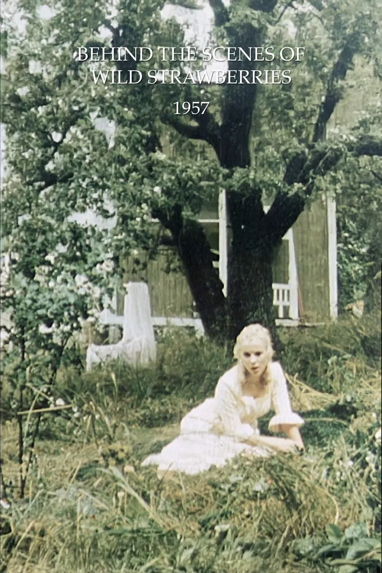 Behind the Scenes of Wild Strawberries poster background