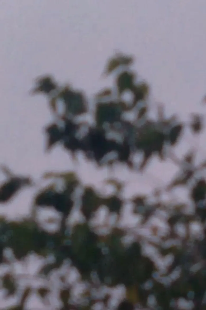 Exercícios Fílmicos No.1 poster background