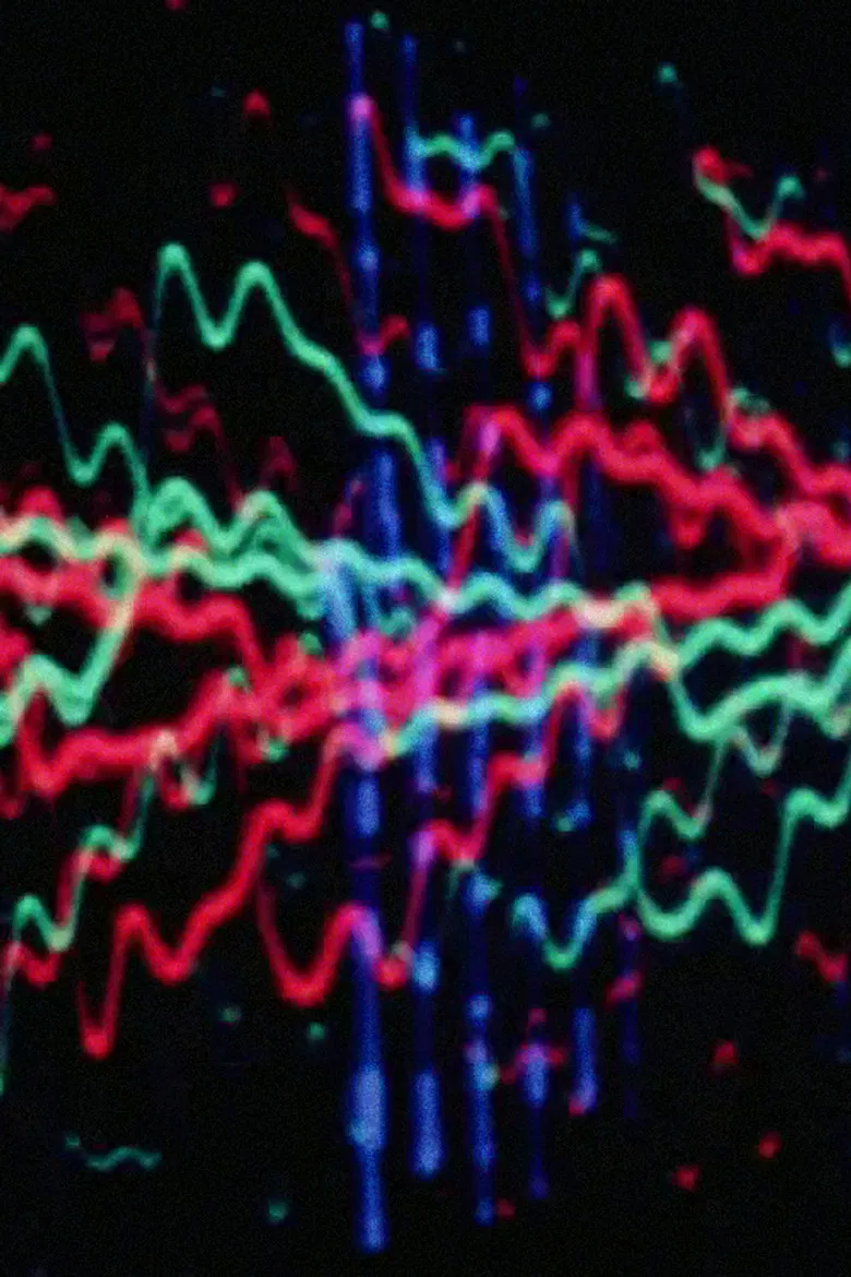 Who Ho Rays No. 1 poster background