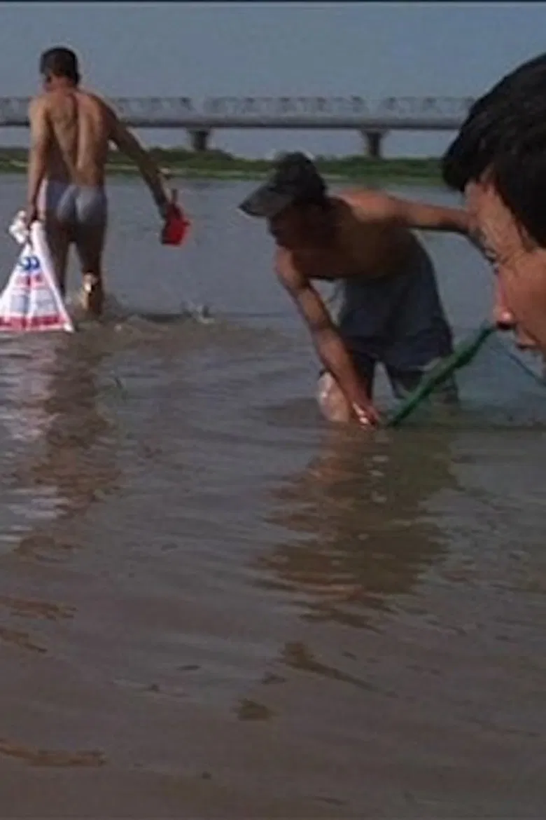 Songhua poster background