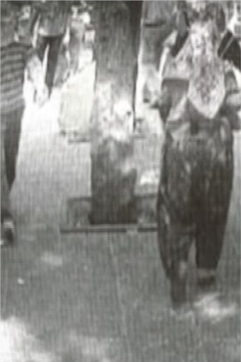 observation nest poster background