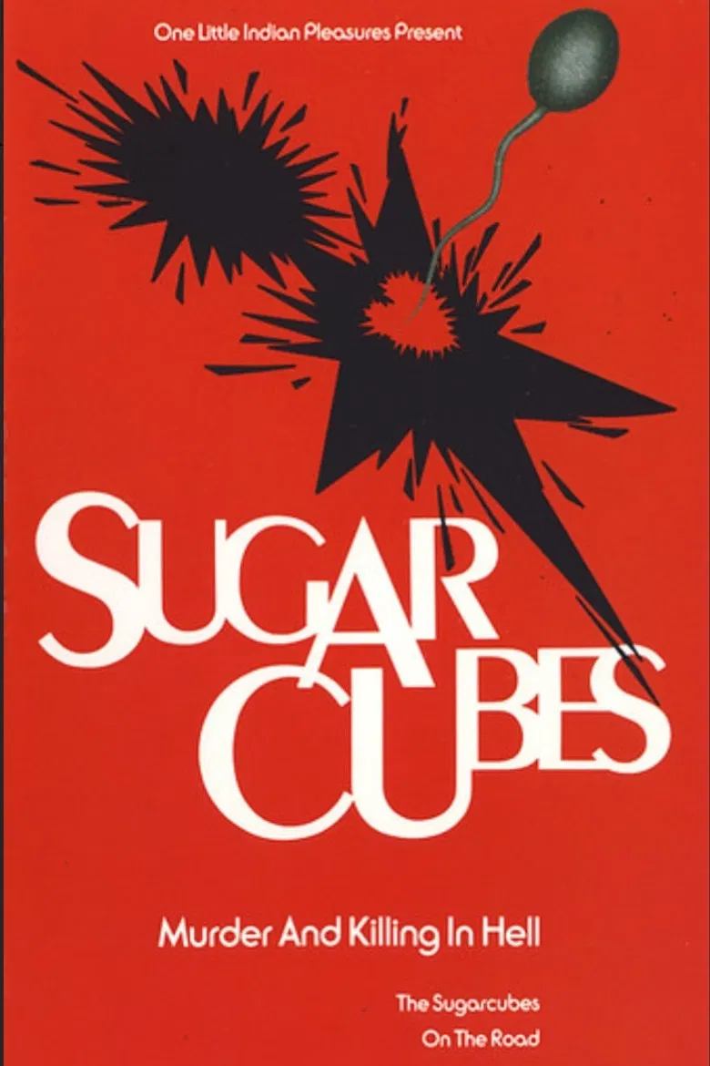 The Sugarcubes: Murder and Killing in Hell (Live at Manchester Academy) poster background