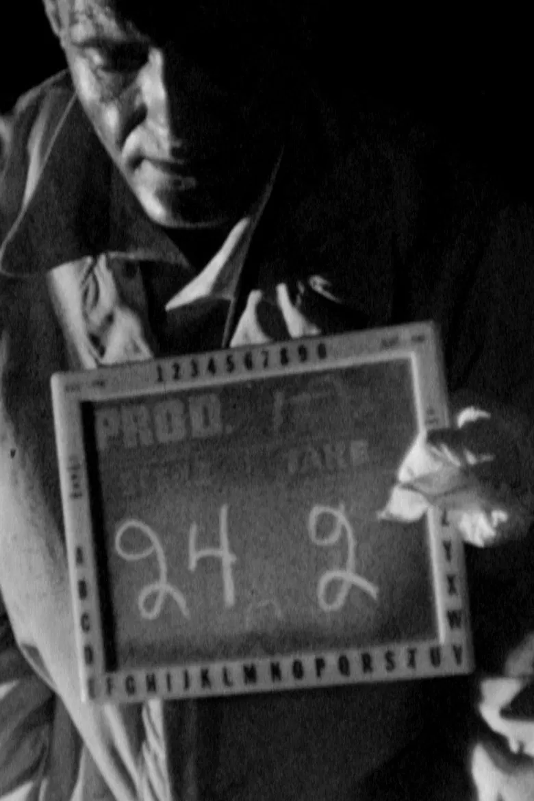 The Anatomy of Melancholy poster background