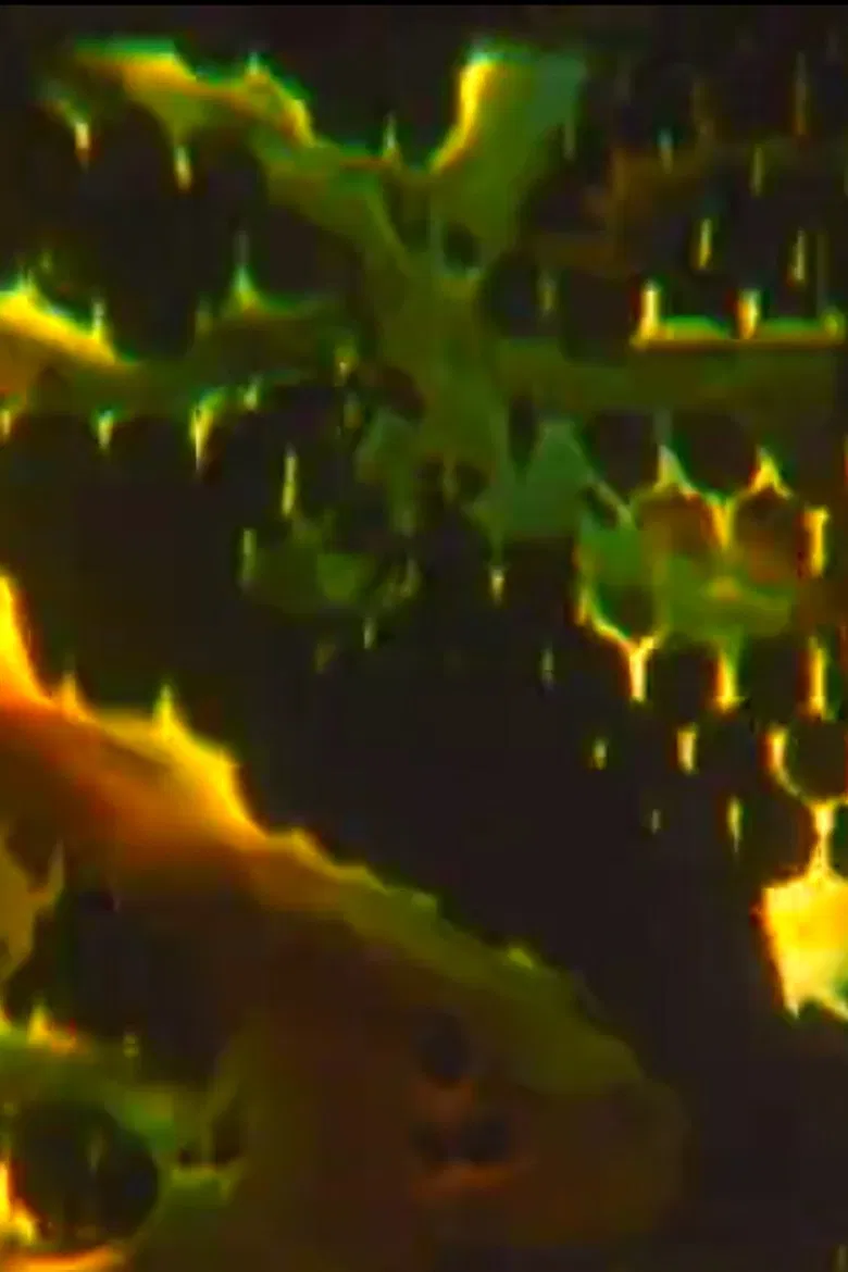 Conjuror's Box poster background