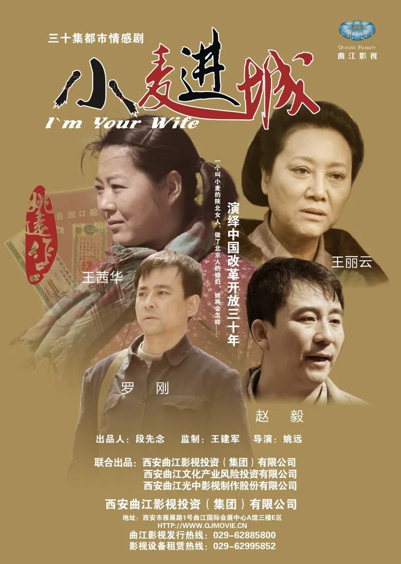 小麦进城 poster background