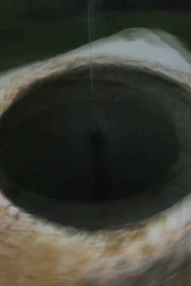 Stone Moss poster background