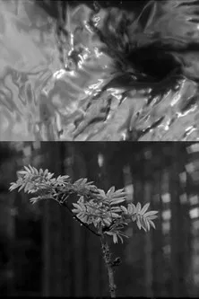 The Rainbow poster background