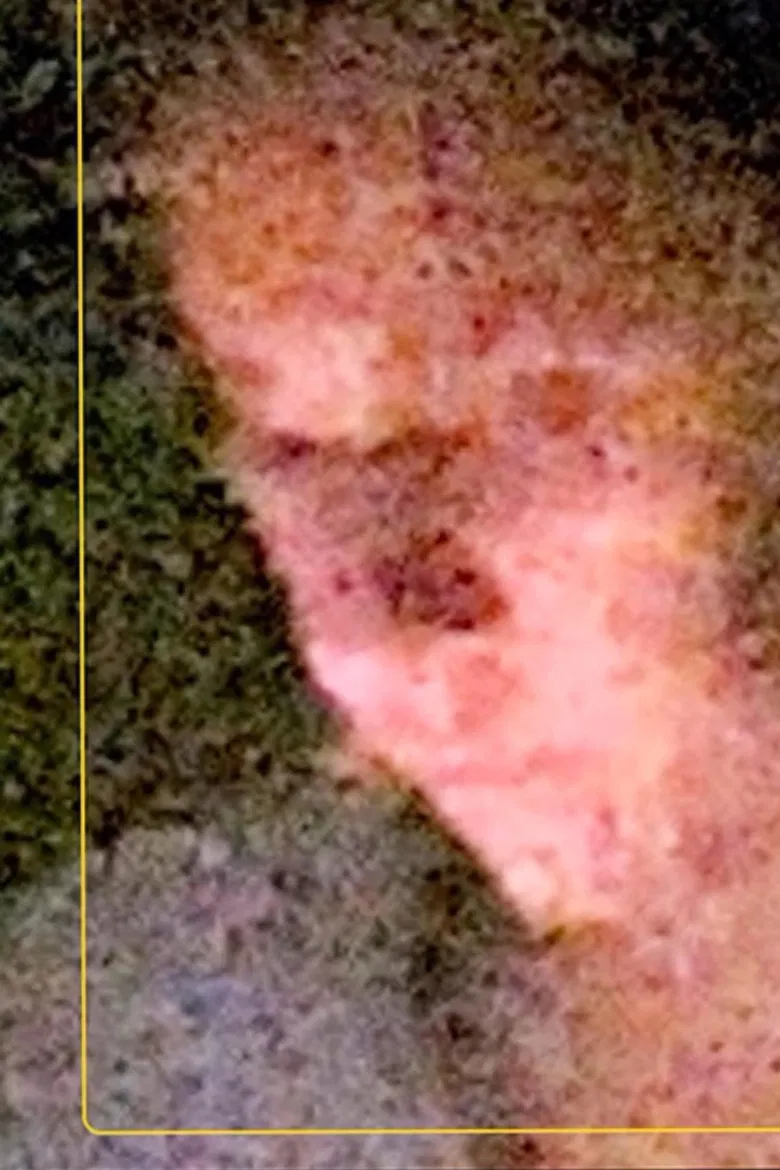 A Sentimental Science poster background