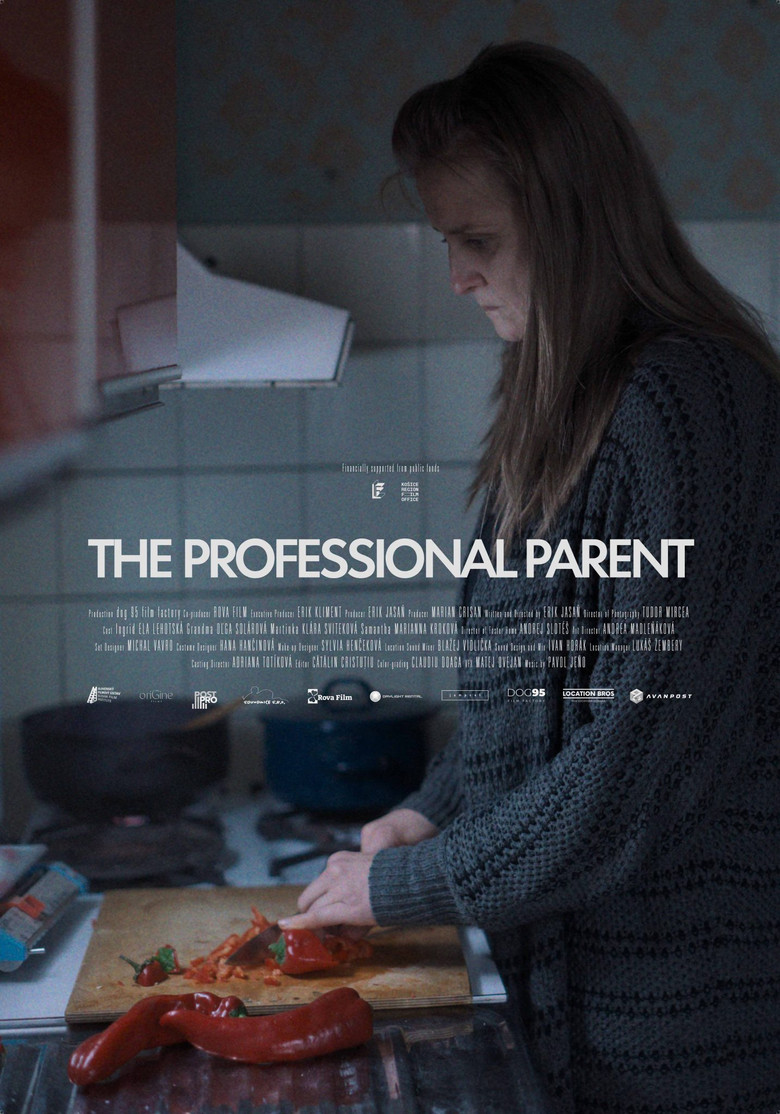 The Professional Parent poster background