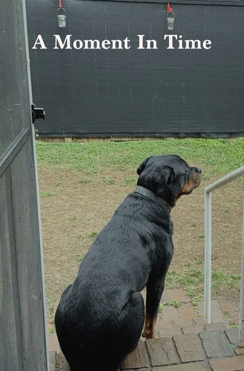 A Moment In Time poster background