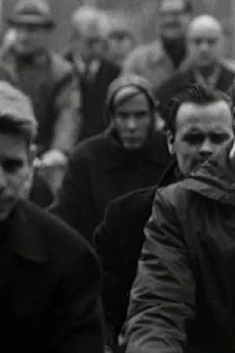 Bicycle poster background