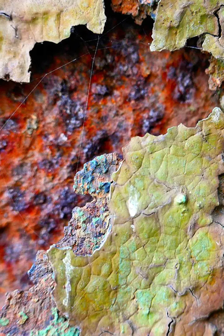 de-composition poster background