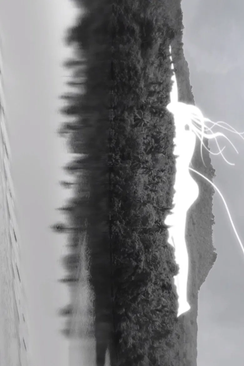 Umbilical Cord to Heaven poster background