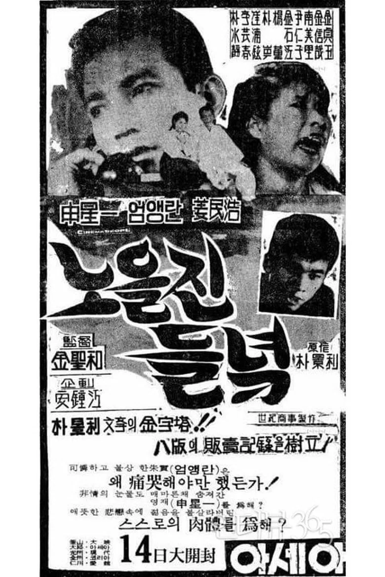 The Field Glow with the Setting Sun poster background