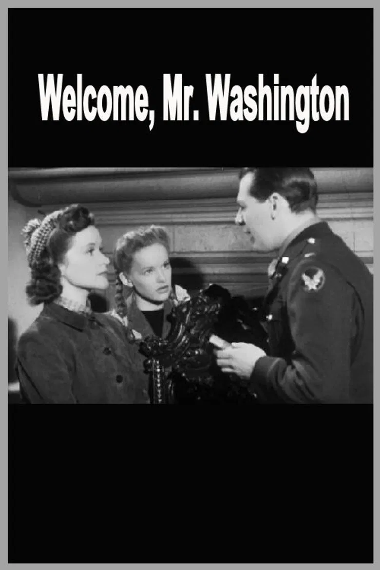 Welcome, Mr Washington poster background