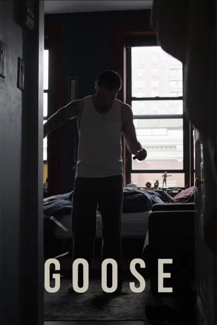 Goose poster background