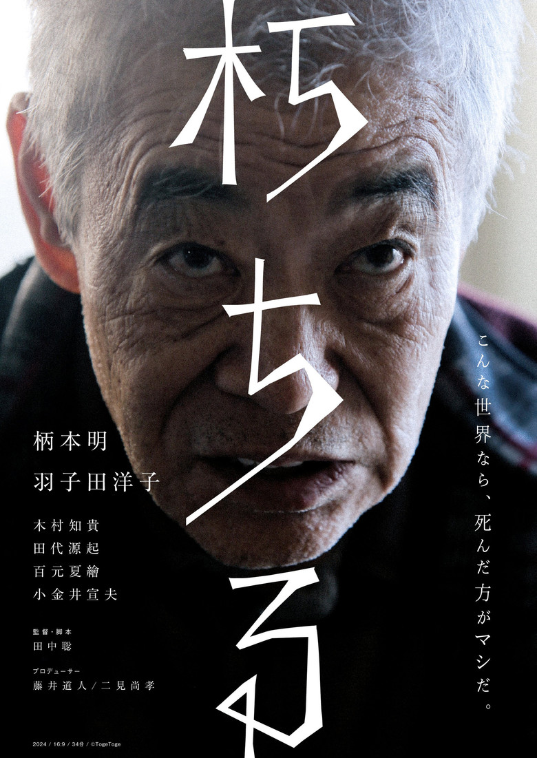 Rotting poster background