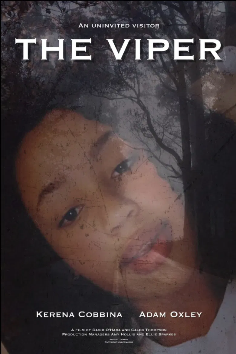 The Viper poster background