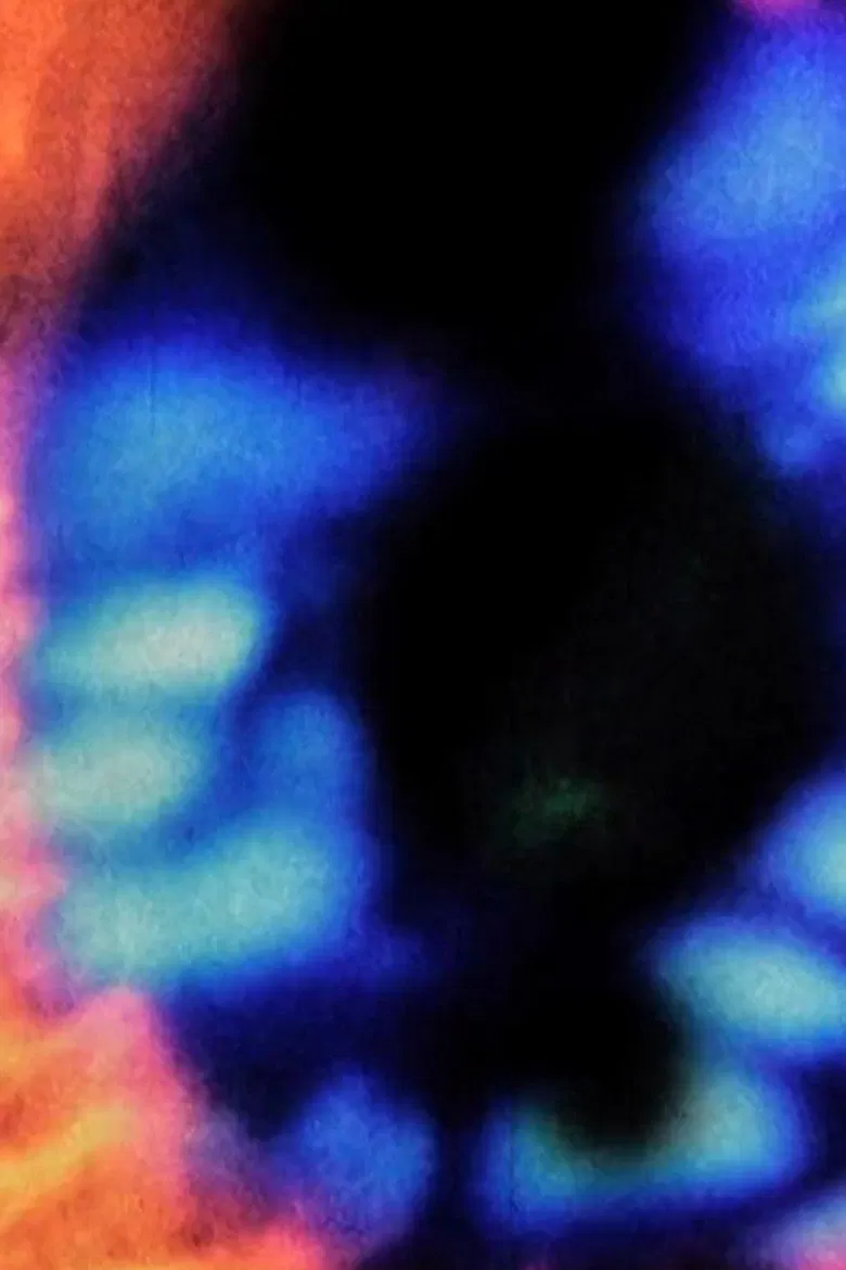 Girasoles poster background