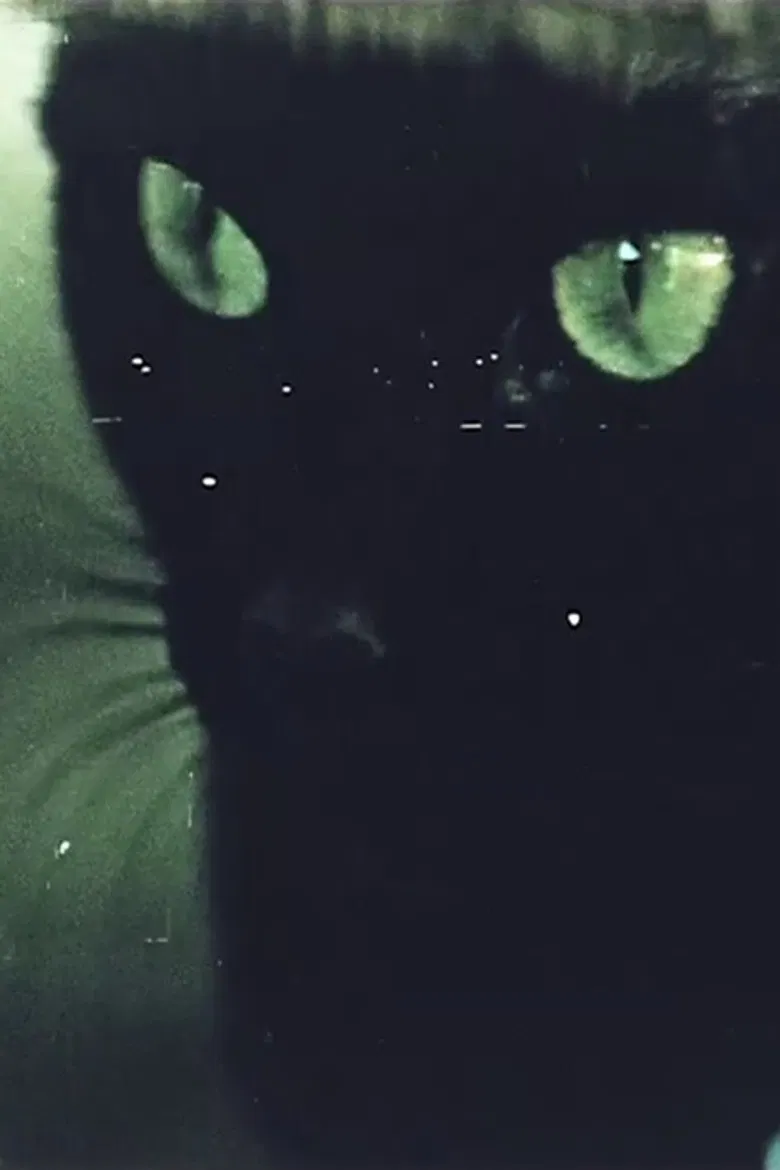 Home Movie poster background