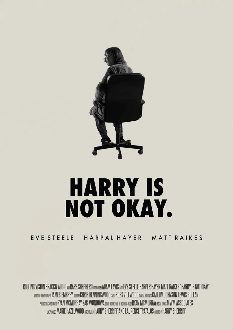 Harry Is Not Okay poster background