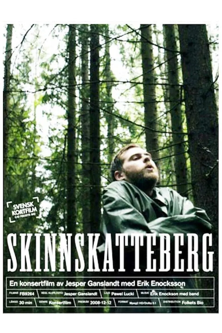 Skinnskatteberg poster background
