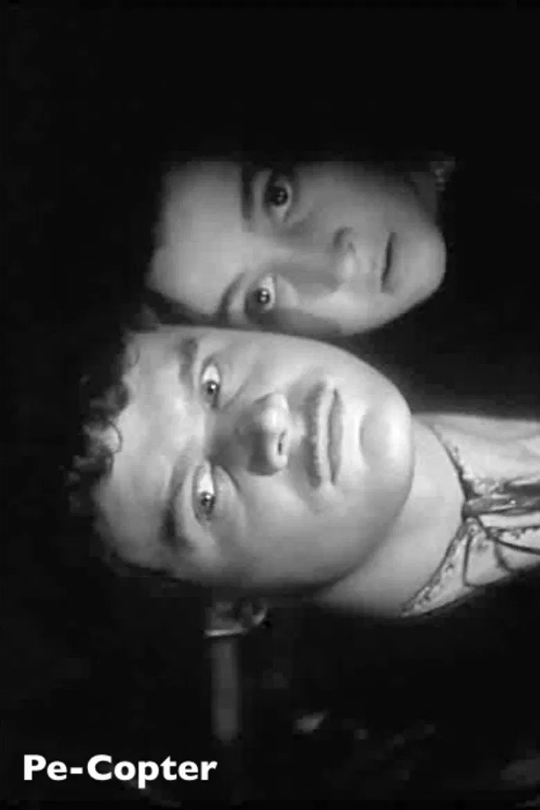 Pe-Copter poster background