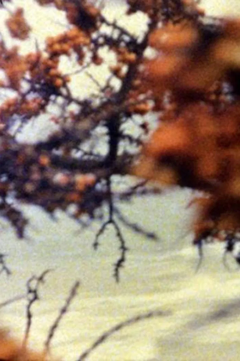 At the Sea poster background