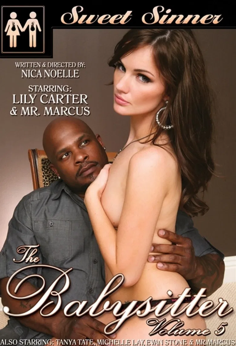 The Babysitter 5 poster background