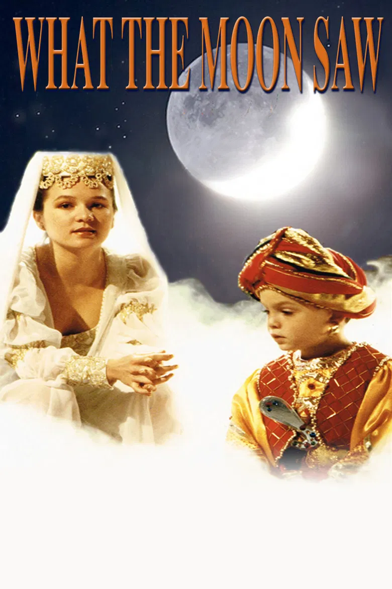 What the Moon Saw poster background