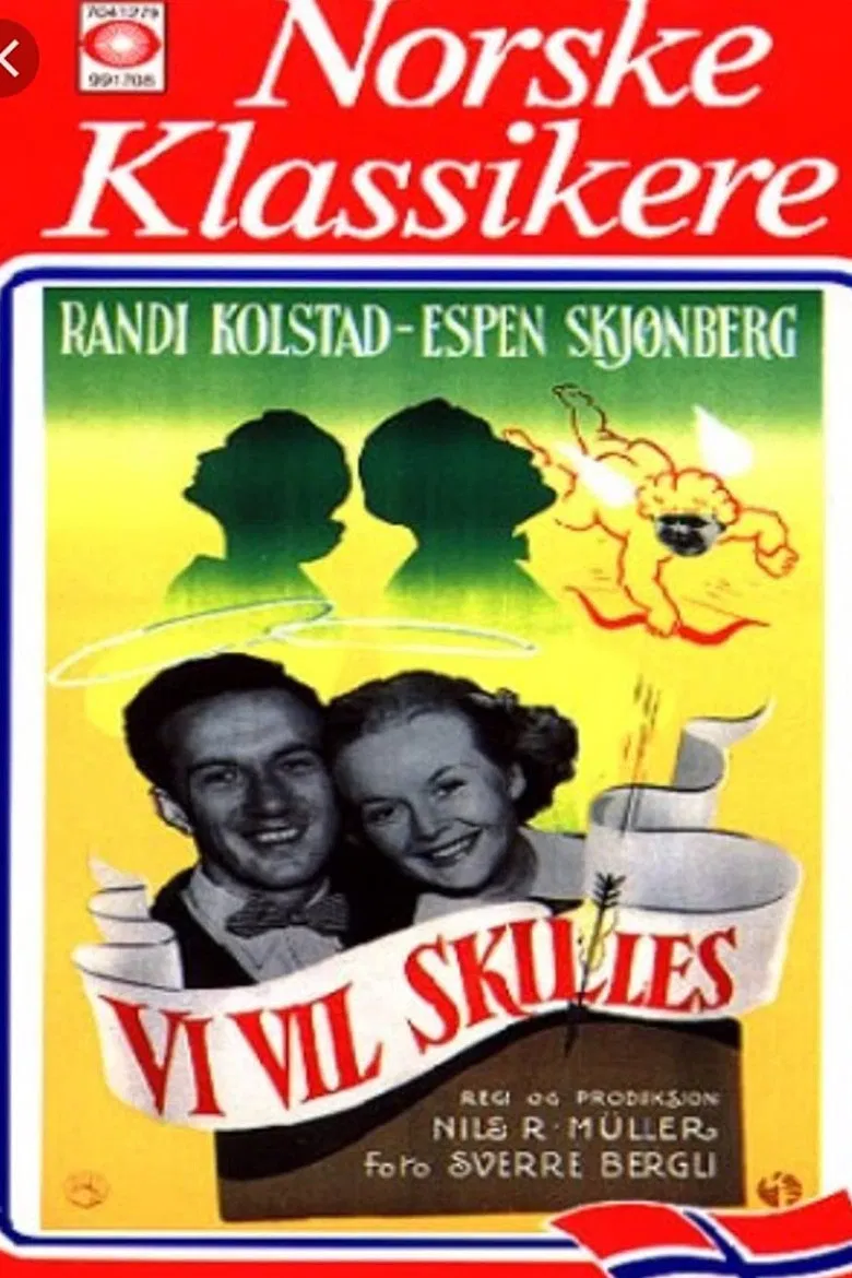 Vi vil skilles poster background