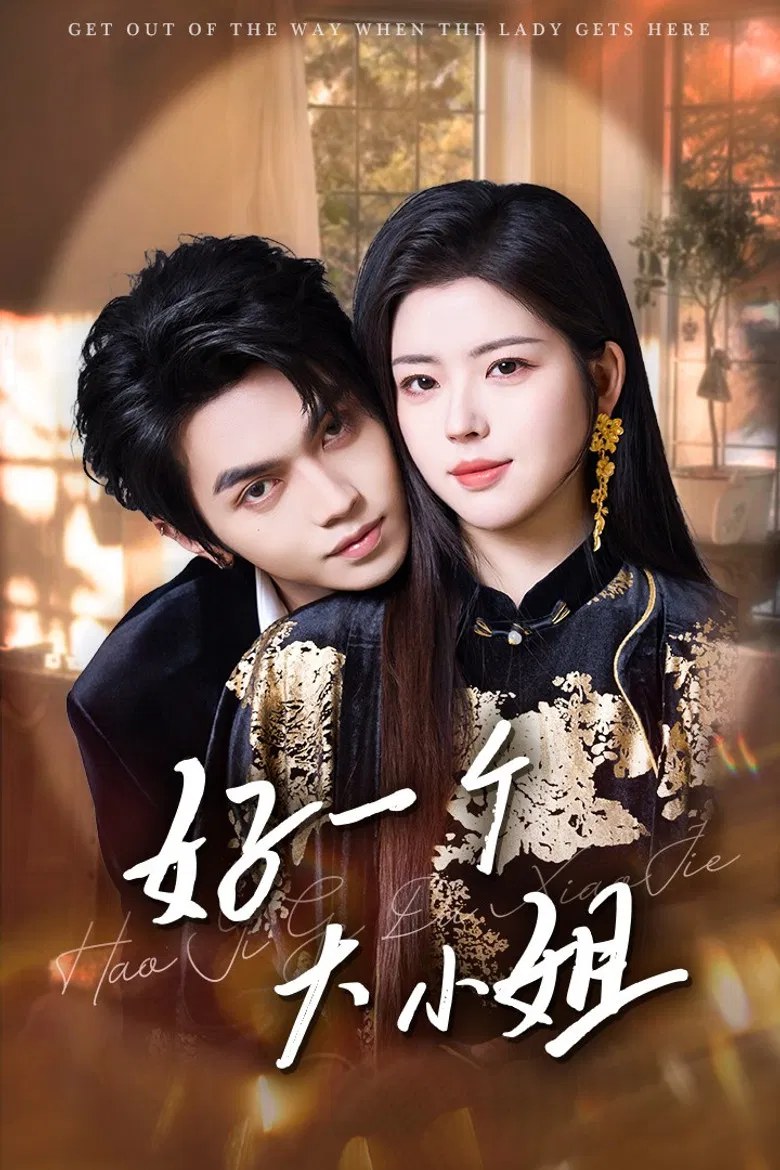 好一个大小姐 poster background